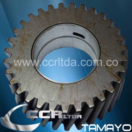 PIÑON LOCO NKR (31 DIENTES L BUJE)