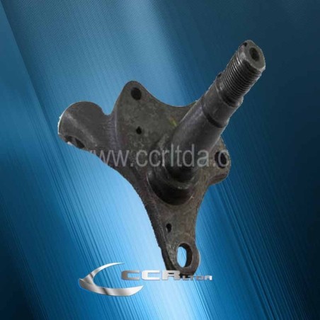 CACHO DODGE 300 76/81 (L)