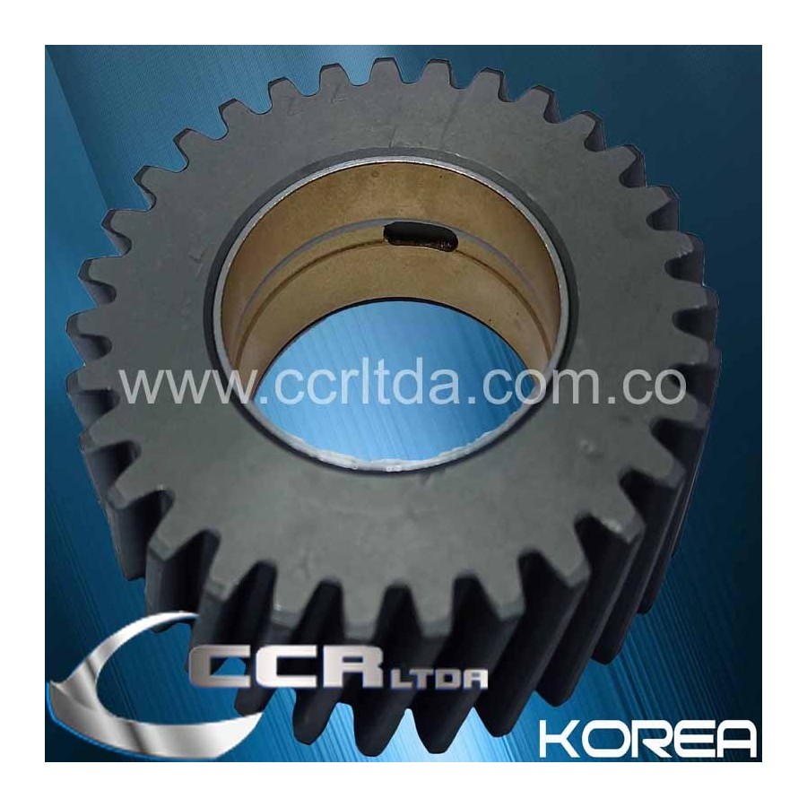 PIÑON LOCO NKR (31 DIENTES L BUJE)