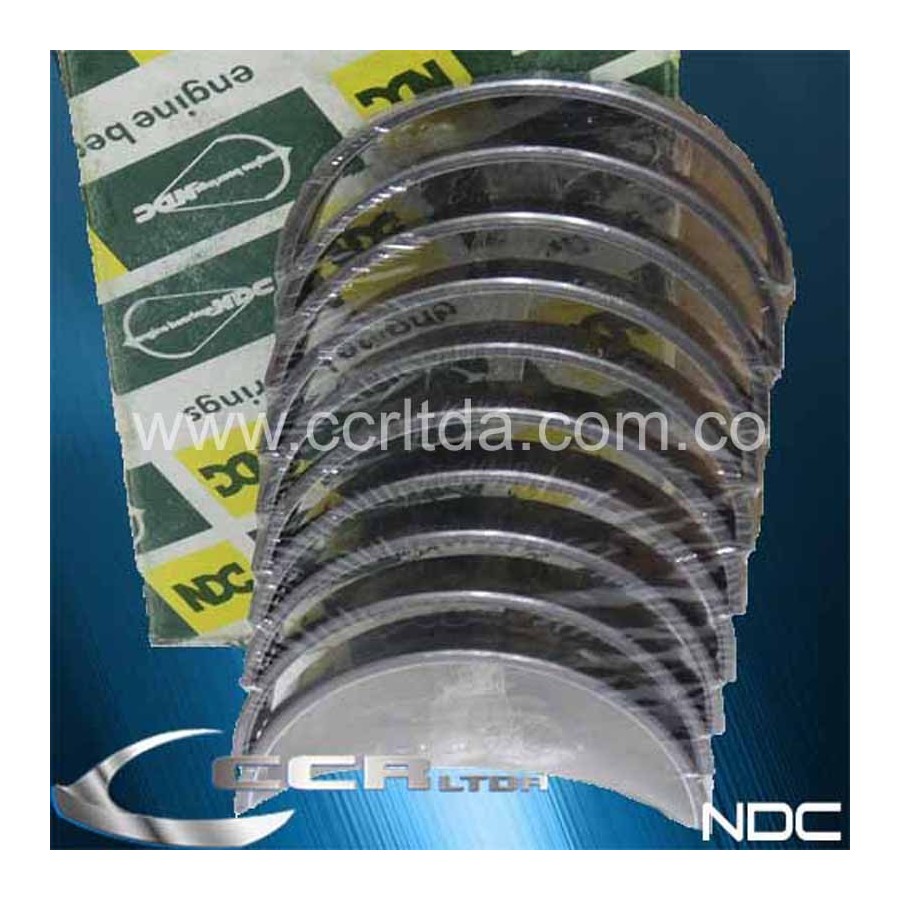 CASQUETES BANCADA 323 (STD)