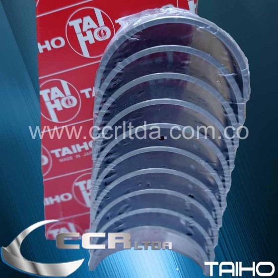 CASQUETES BANCADA 323 (025)