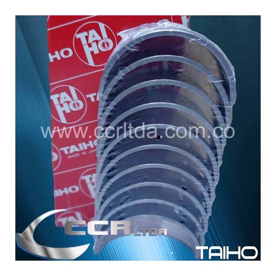 CASQUETES BANCADA 323 (025)