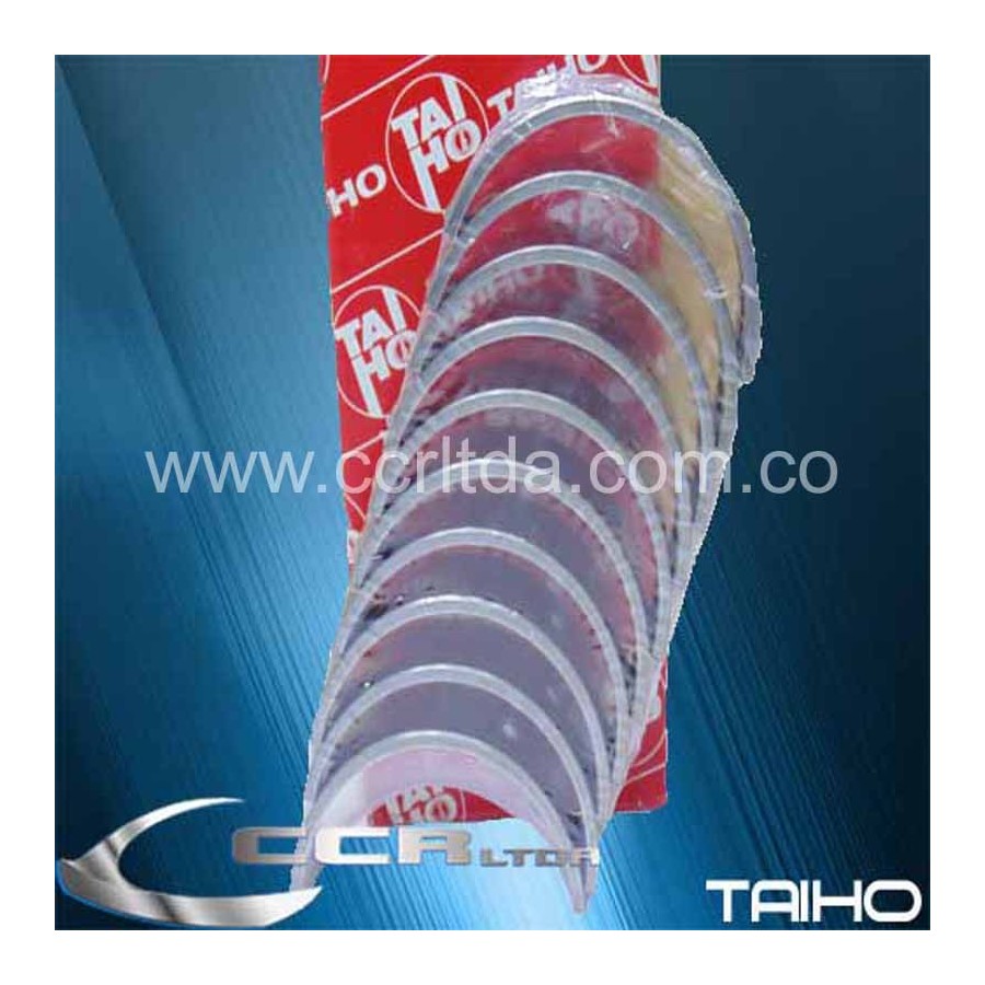 CASQUETES BANCADA 323 (075)