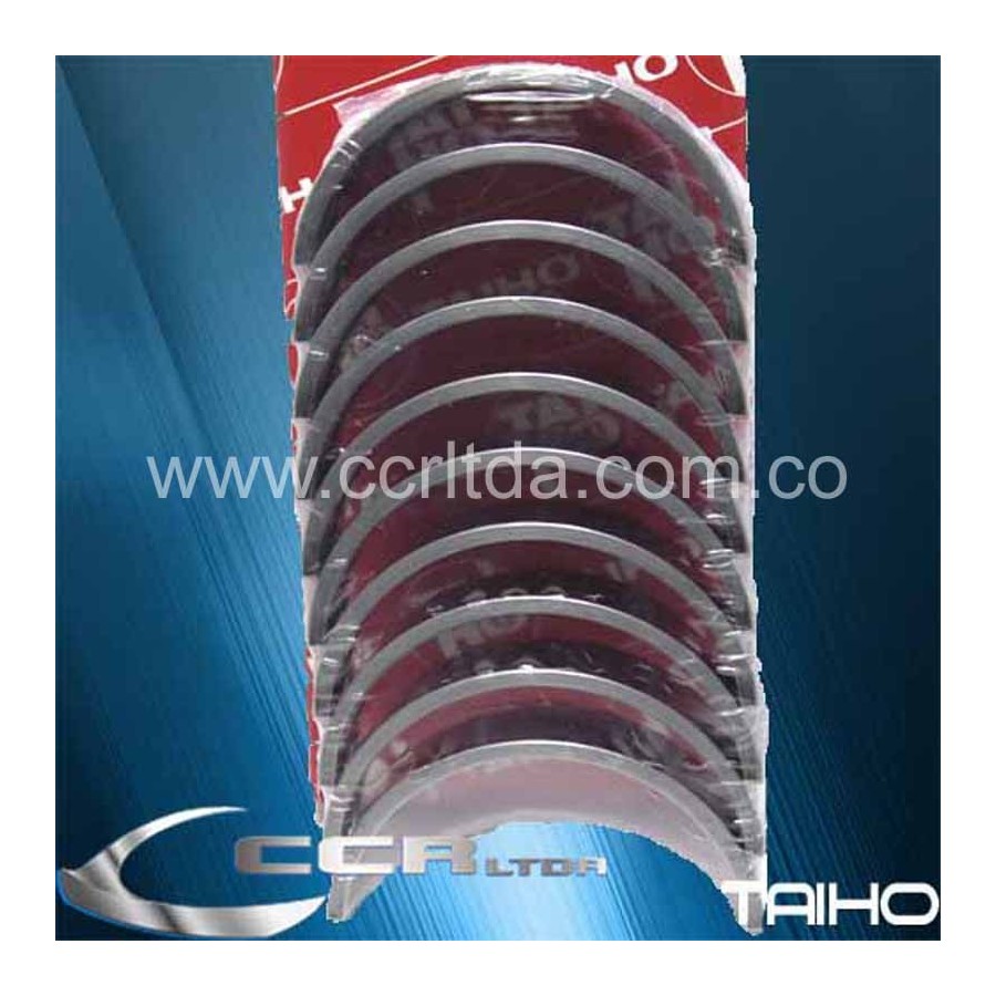 CASQUETES BANCADA 323 (100)