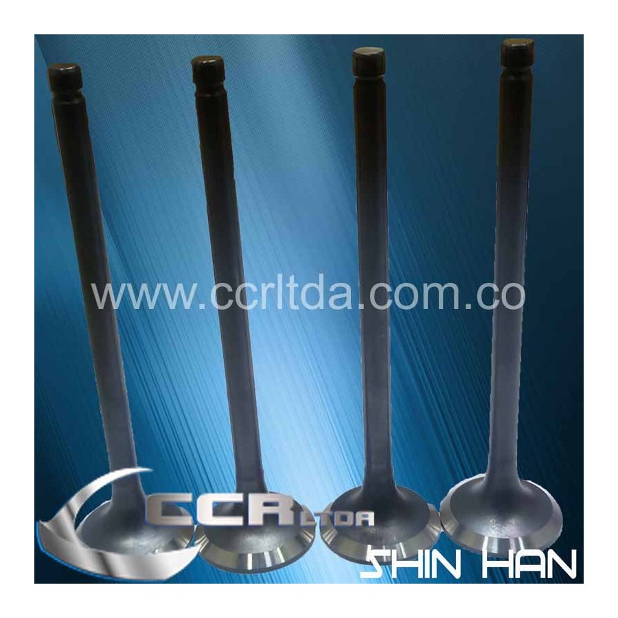 VALVULA ESC. H-100 DIESEL (136X36X8)