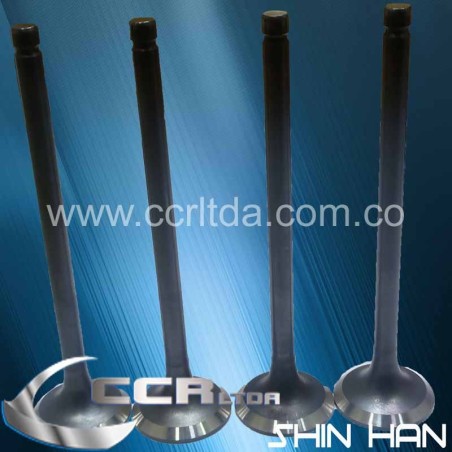 VALVULA ESC. H-100 DIESEL (136X36X8)