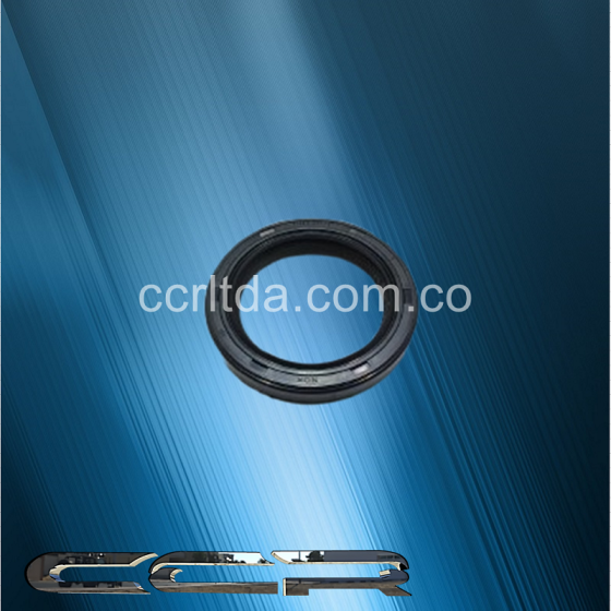 RETEN CHOROTE SUPERDELTA 15B  35X48X6