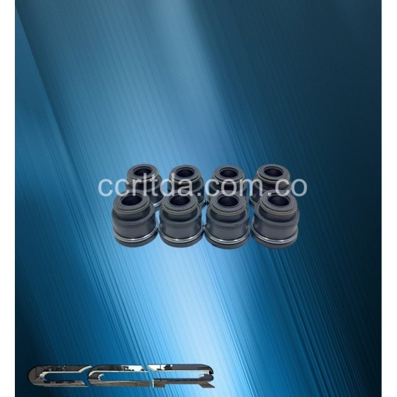 CAUCHOS VAL. CANTER 4D31/34 CHORUS (JGOX8)