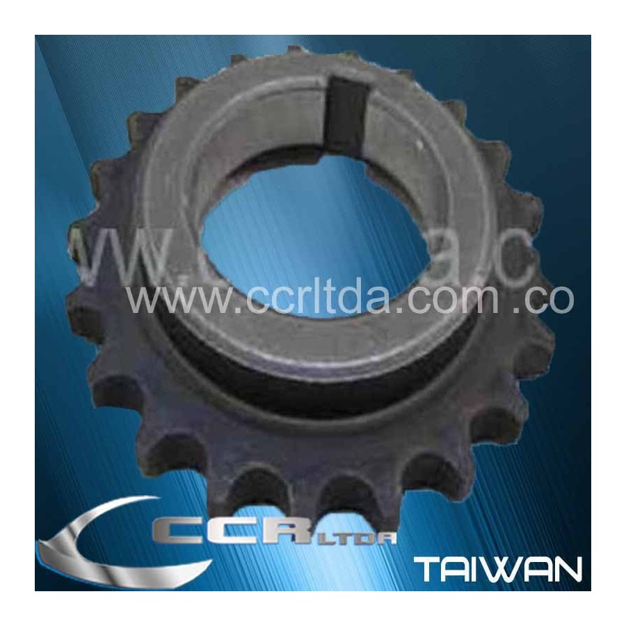 PIÑON B. ACEITE 323