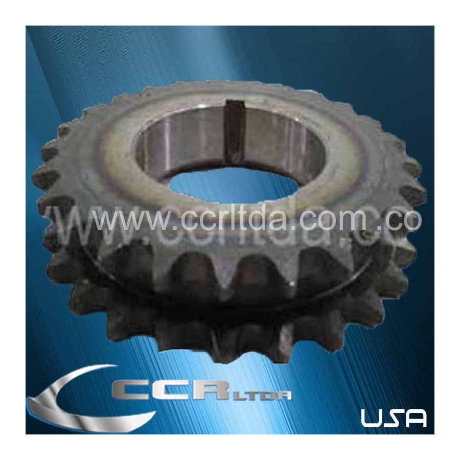 PIÑON CIG. B60 C70 M:366