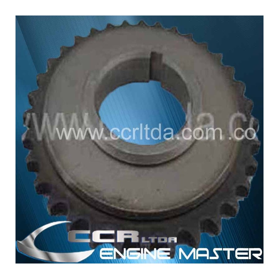 PIÑON B. ACEITE MONTERO 82/85 (GRANDE PLANO)