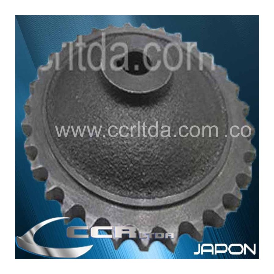 PIÑON B. ACEITE MONTERO 87/91 (PEQUEÑO)