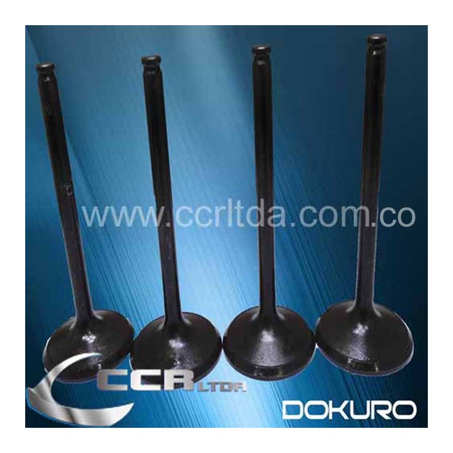 VALVULA ADM. H100 GASOLINA 8V (JGOX4)