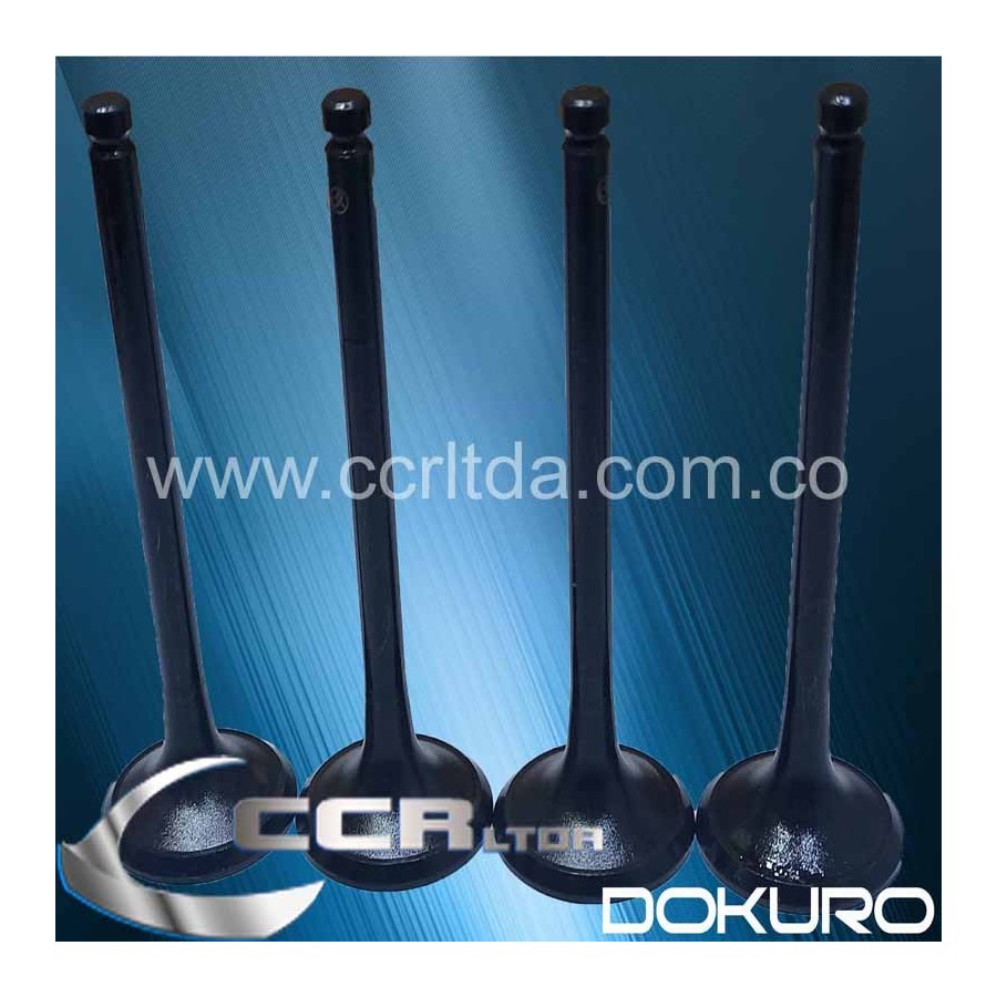 VALVULA ADM. CORSA DIESEL 8V (JGOX4)