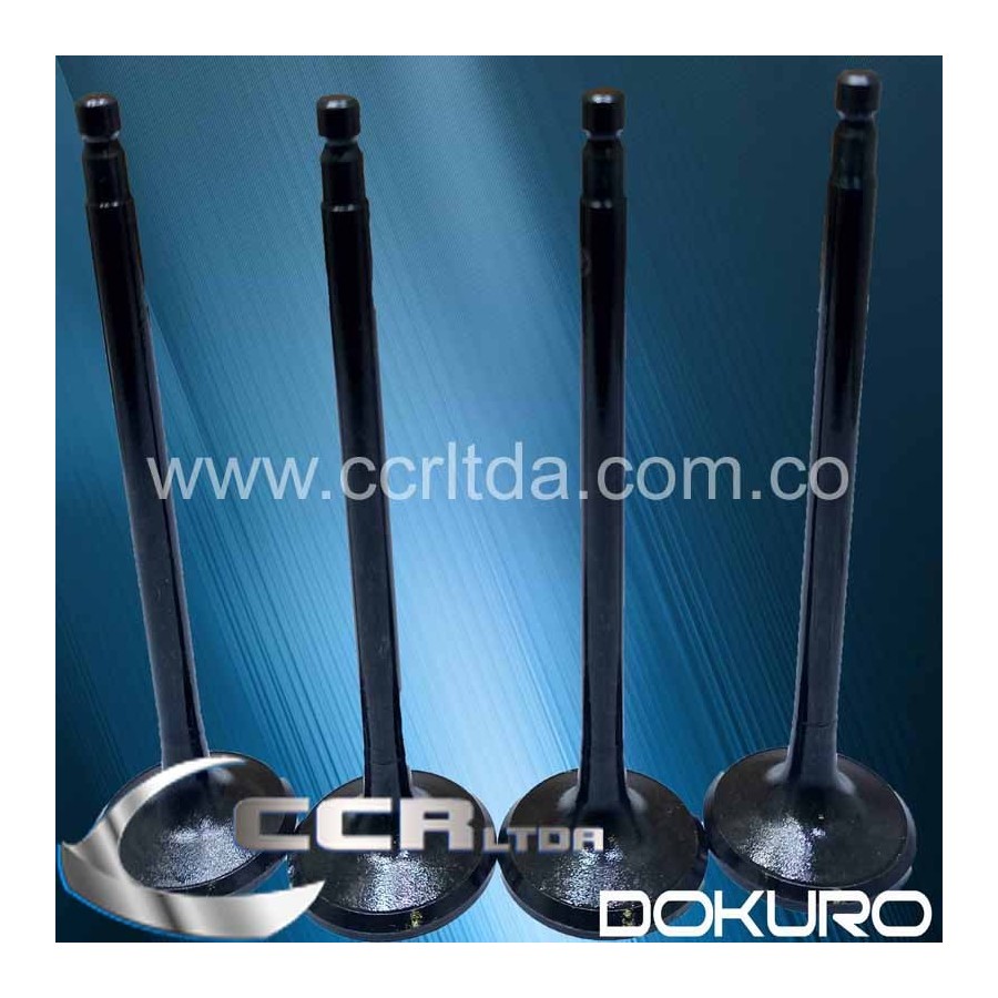 VALVULA ESC. NISSAN VANNET KA24 2400cc 12 VAL (JGOX4)