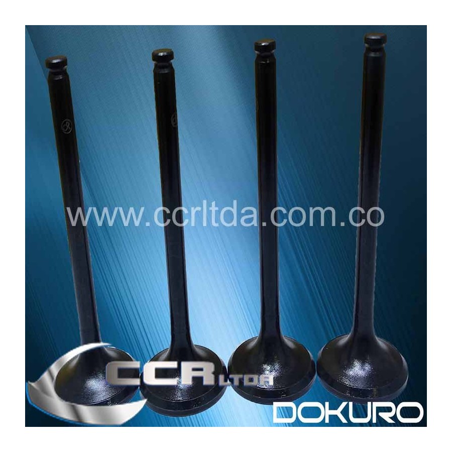 VALVULA ESC. H100 GASOLINA 8V (JGOX4)