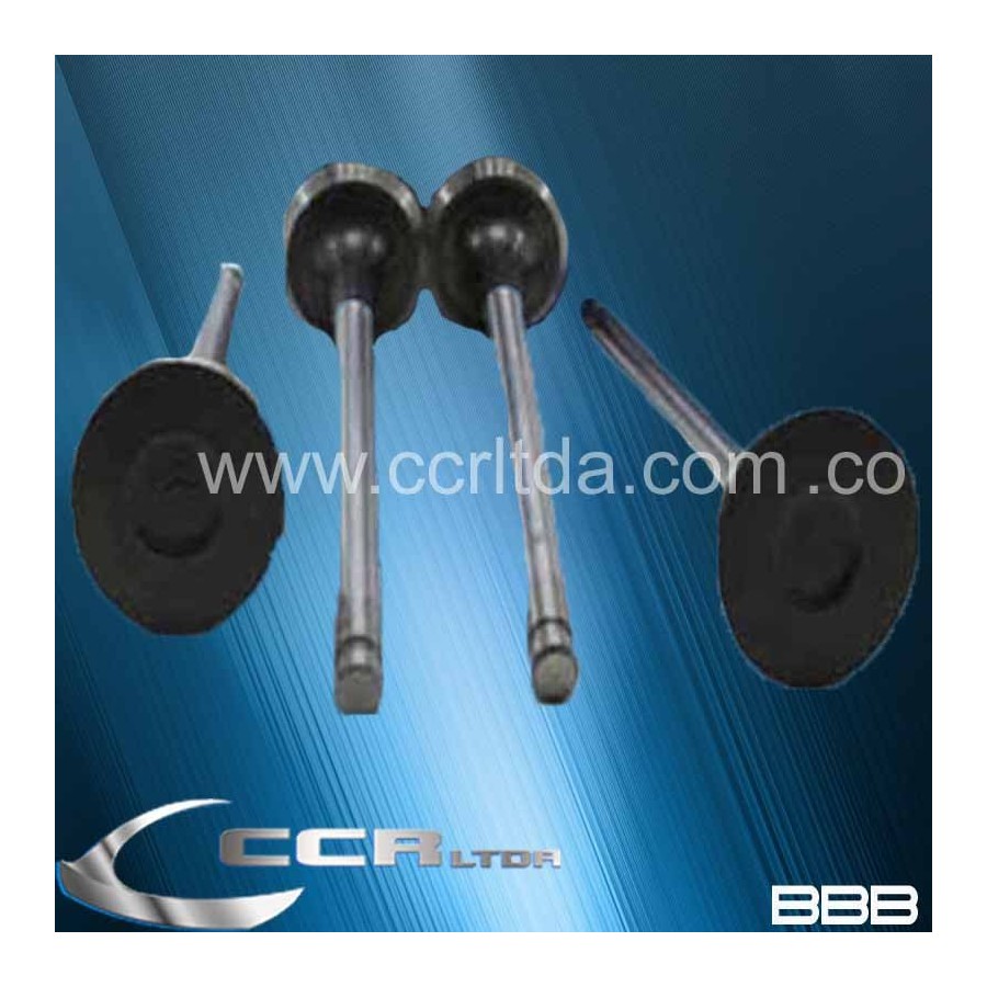 VALVULA ESC. DAEWO RACER CIELO BAST CORTO 8V (JGOX4)