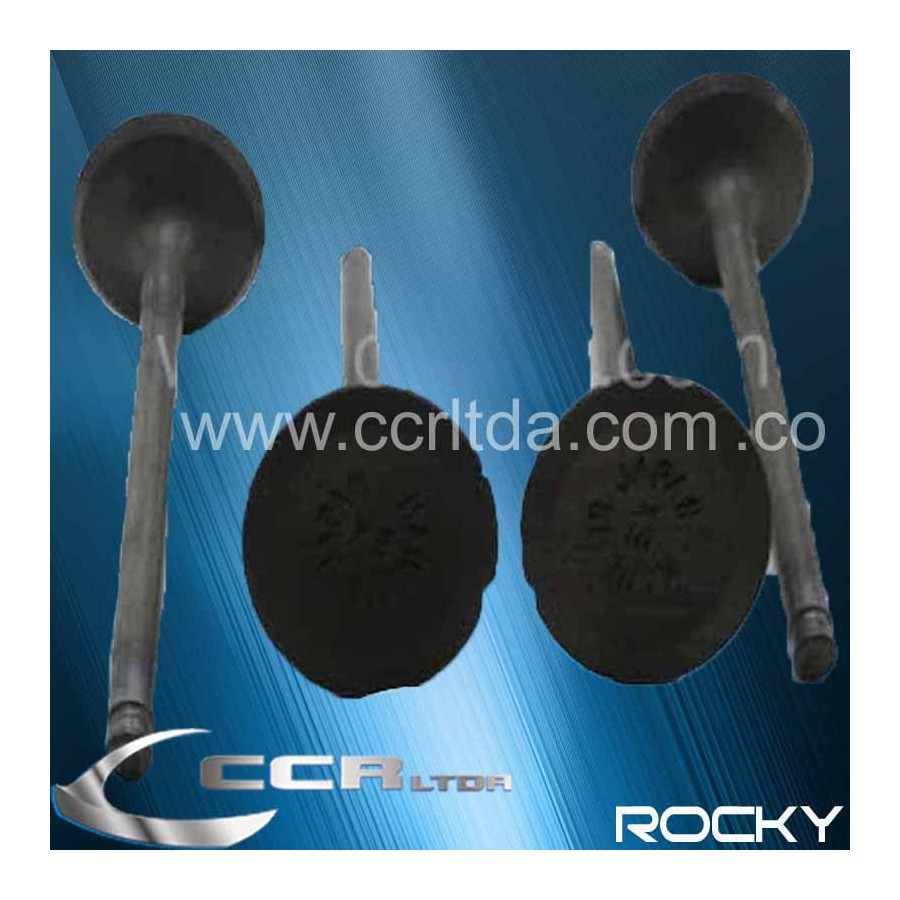 VALVULA ESC. LUV DIMAX 2200 2400 8V (JGOX4)