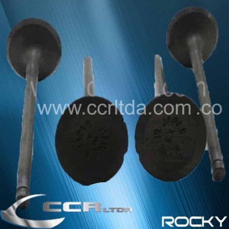 VALVULA ESC. LUV DIMAX 2200 2400 8V (JGOX4)