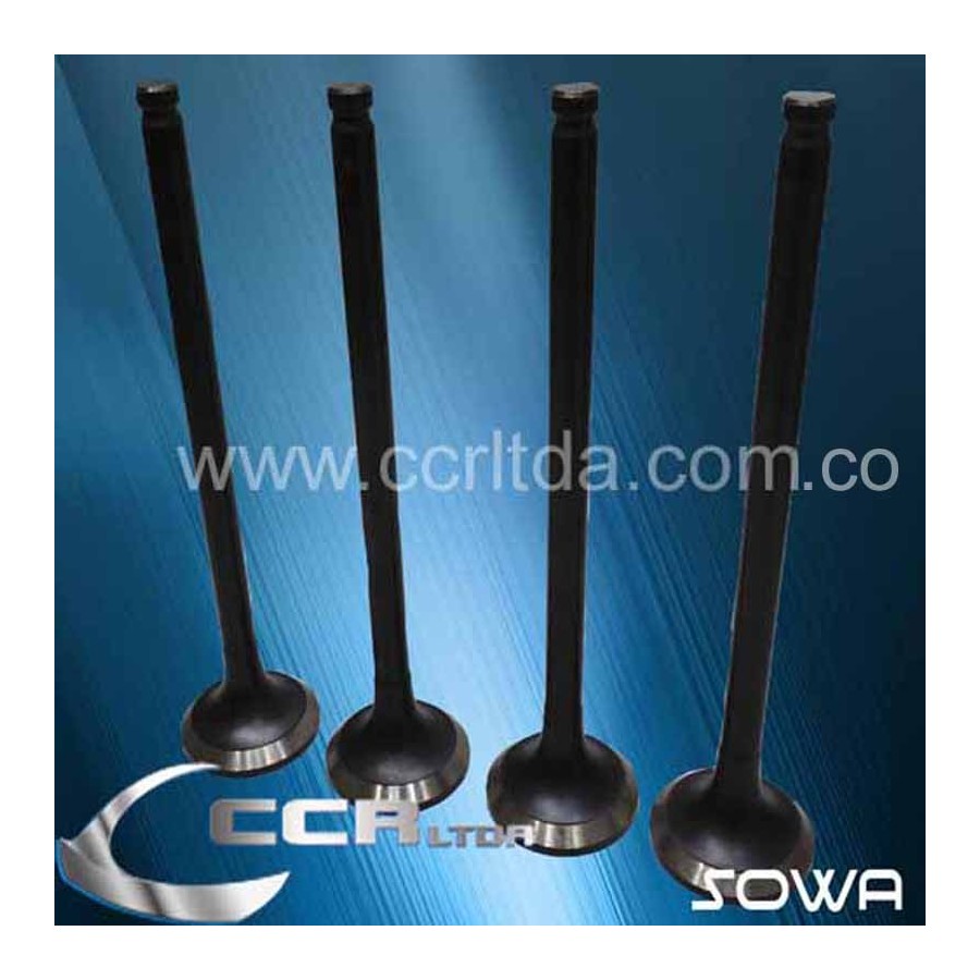 VALVULA ESC. HYUNDAI STAREX D4BH (34X130X8)