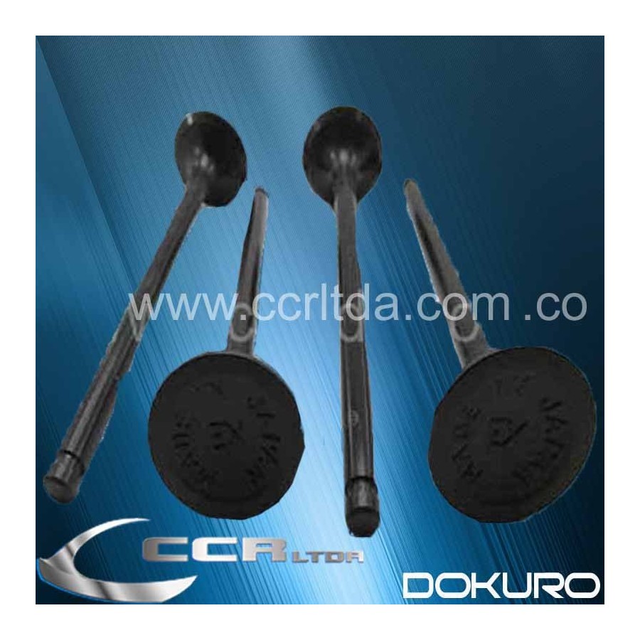 VALVULA ESC. NISSAN SENTRA B13 8V (JGOX4)