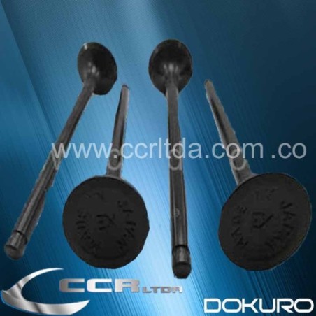 VALVULA ESC. NISSAN SENTRA B13 8V (JGOX4)