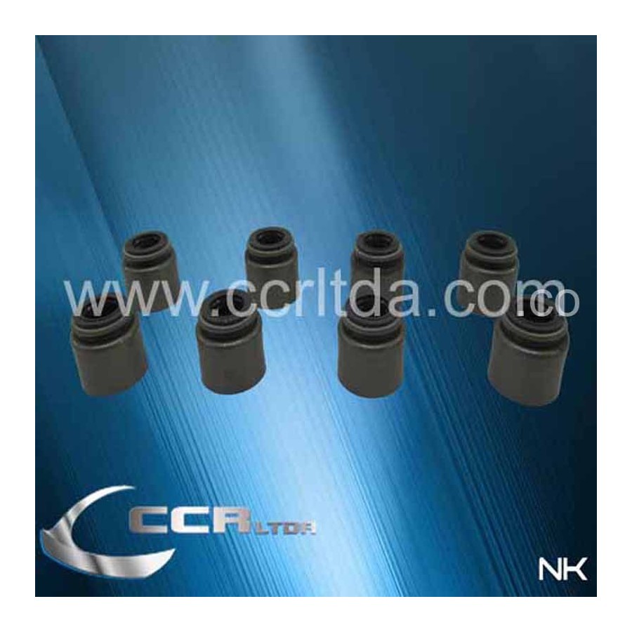 CAUCHOS VAL. CANTER 4D31/34 CHORUS (JGOX8)