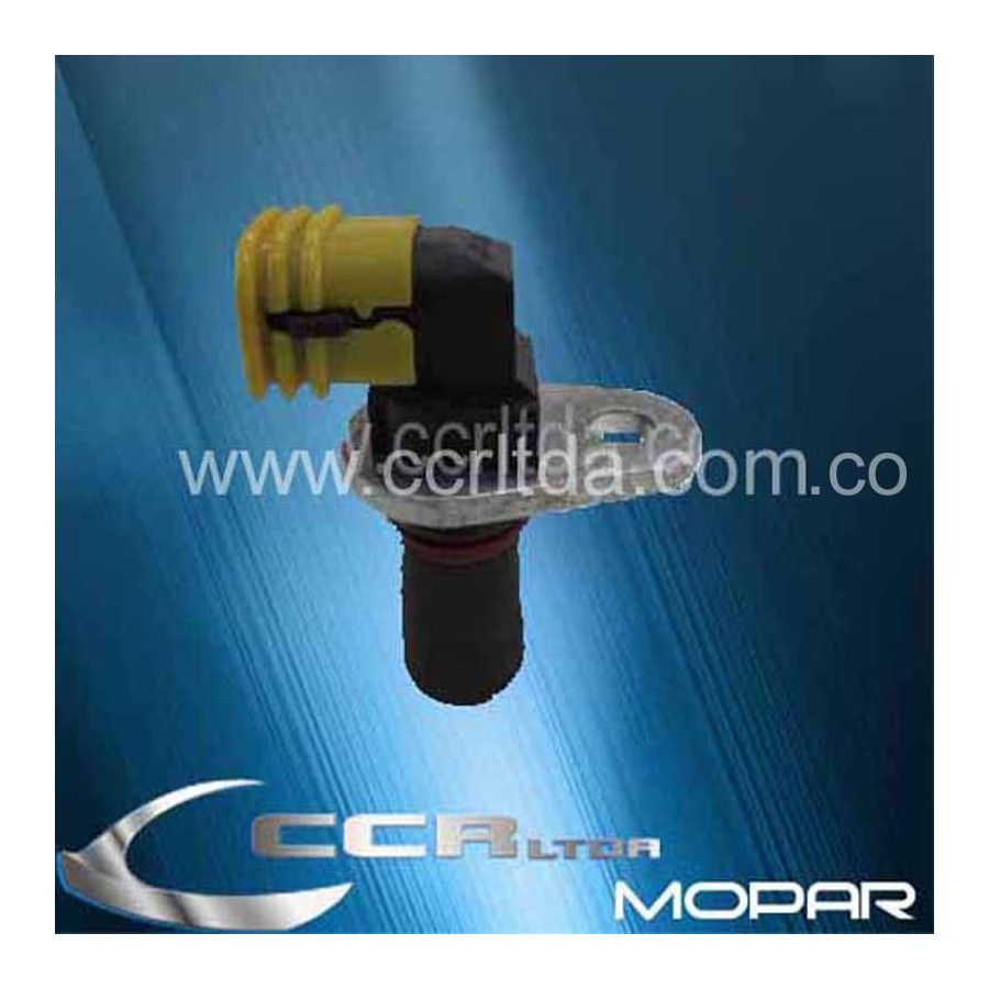 VALVULA INYECTORA RAM