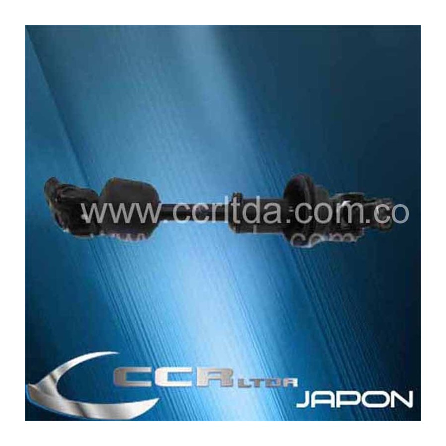 COLUMNA DIR. MONTERO