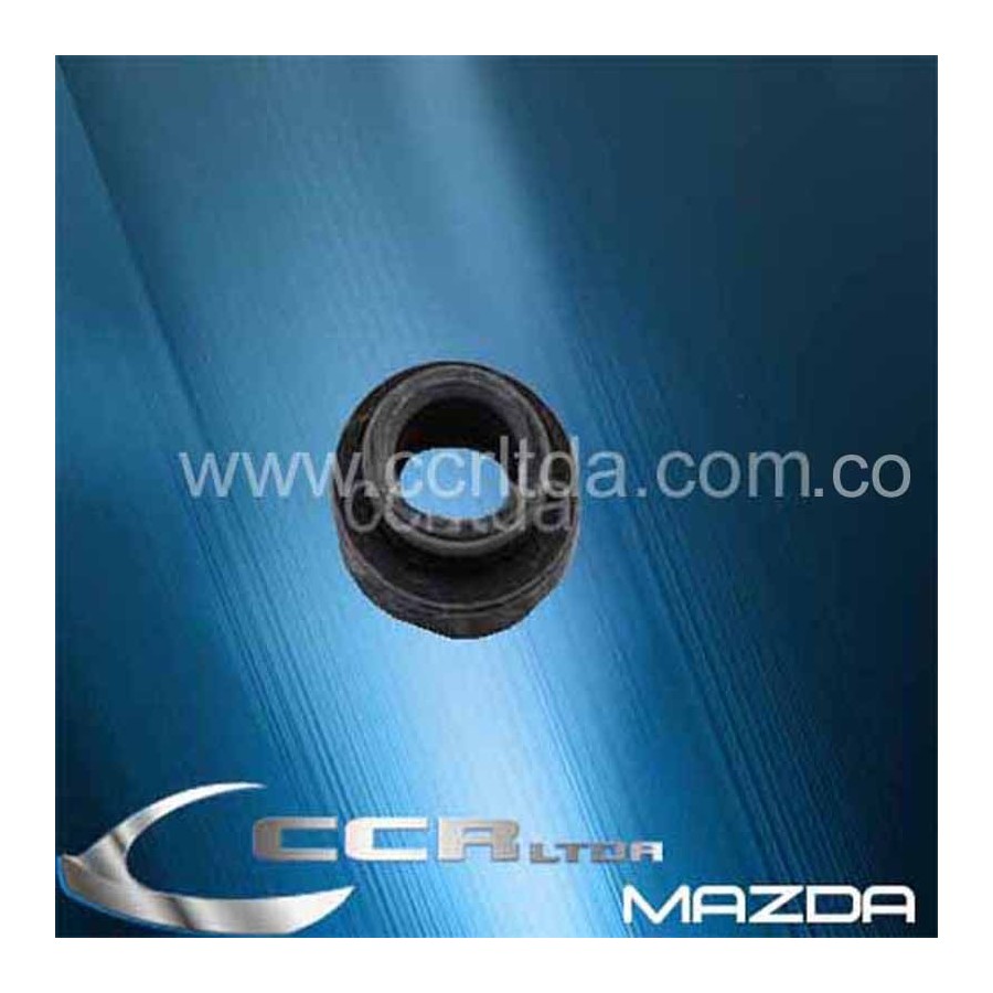 RETEN SINFIN 323 (CAJA DIR.)