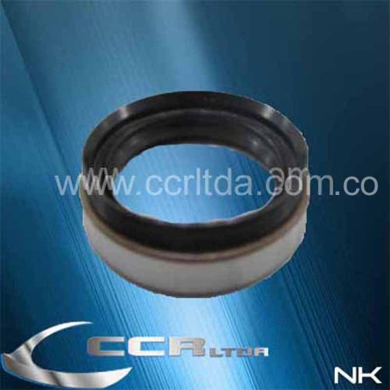 RETEN CHOROTE HINO FB4J 99/2005 (55X72X9-15)