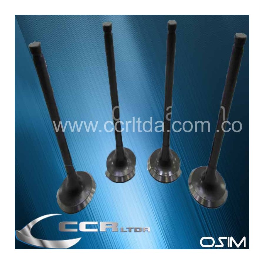 VALVULA ESC. NISSAN QD32 8V (JGOX4)