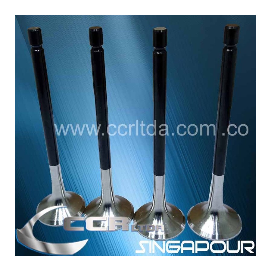 VALVULA ESC. NPR 2000/ 4HG1 8V (JGOX4)