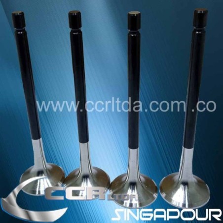 VALVULA ESC. NPR 2000/ 4HG1 8V (JGOX4)