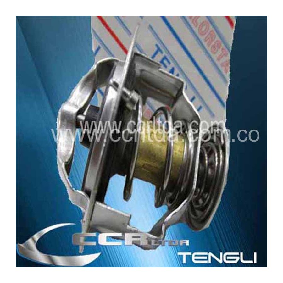 TERMOSTATO NISSAN MT3000 TD27 (82)