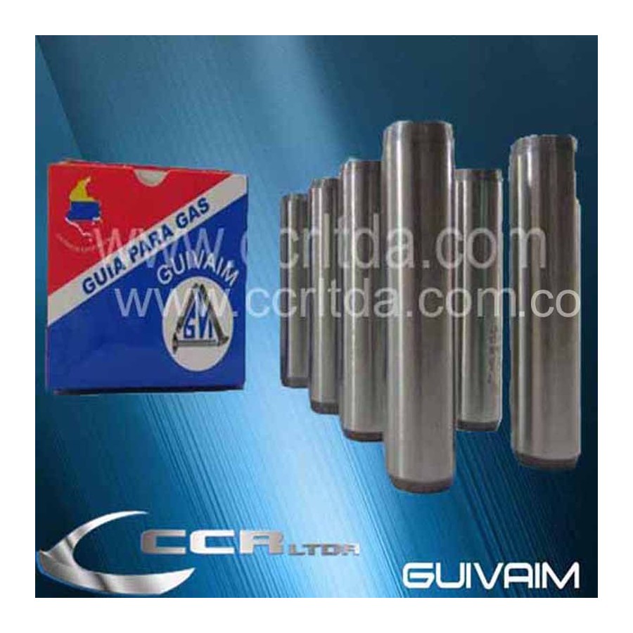 GUIAS F20 8V (GAS +003 JGOX8)